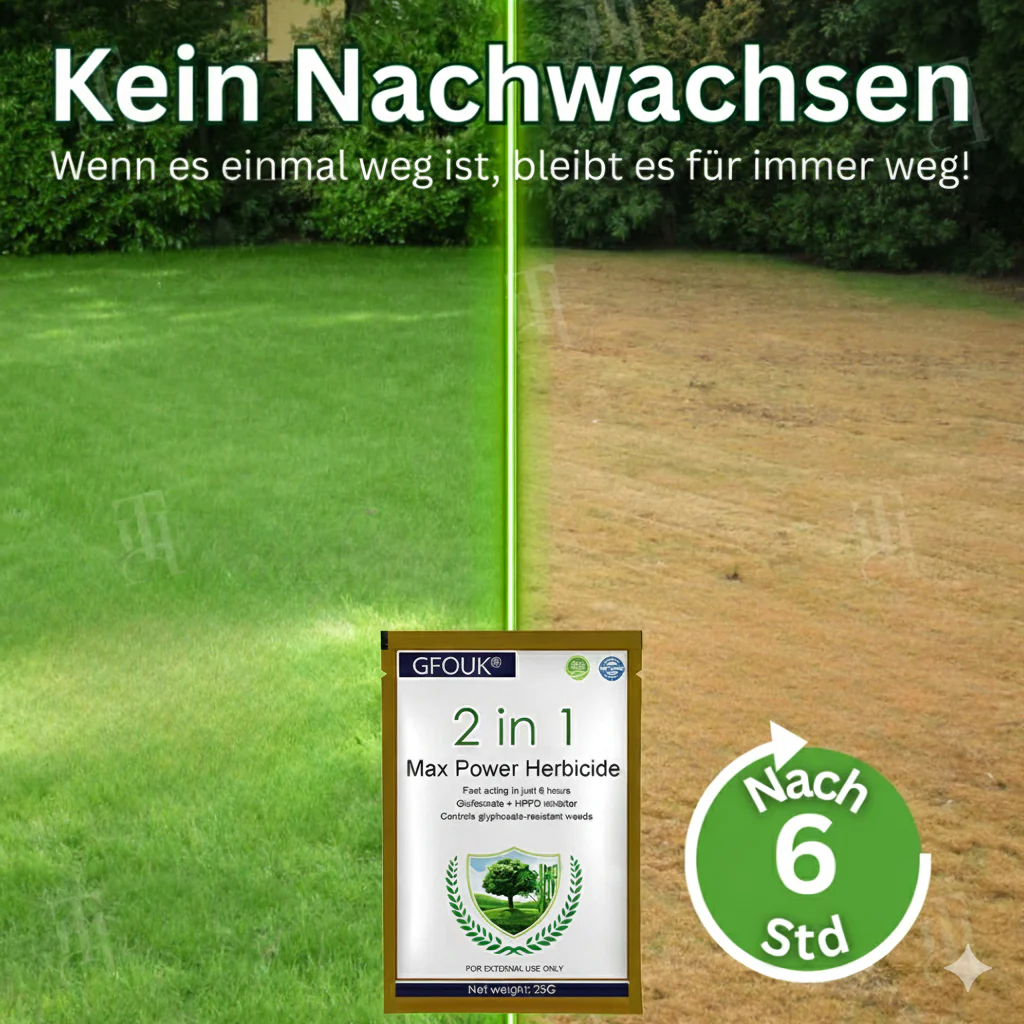 Vorschaubild 6